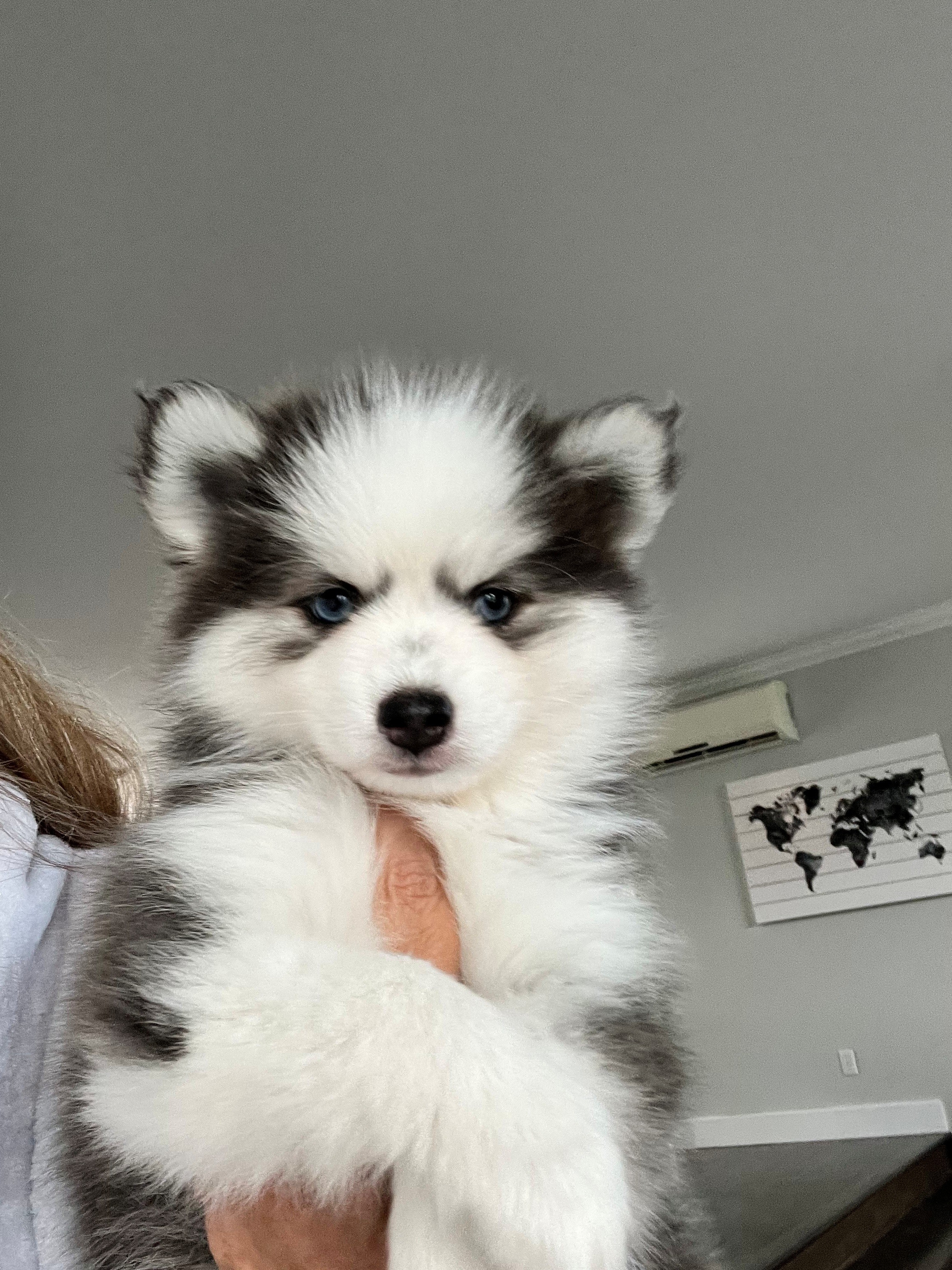NACHO